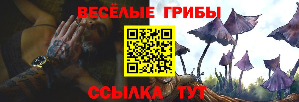 Псилоцибиновые грибы прущие грибы Балашов
